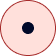 Start Point